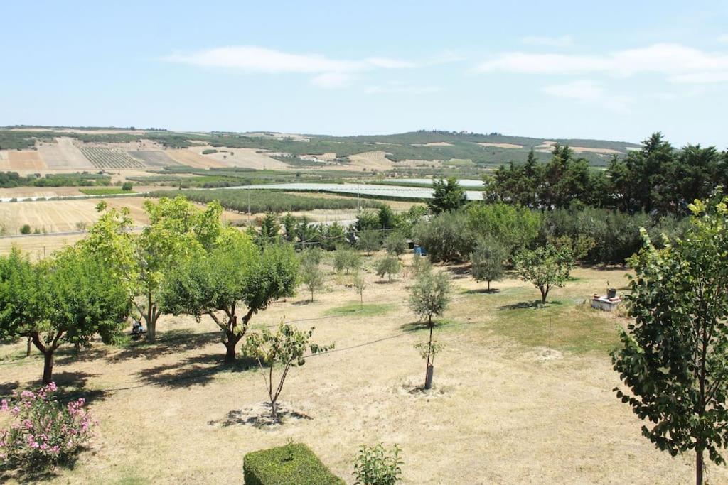 Apartment Garden House With Stunning Views Agios Pavlos (Chalkidiki)